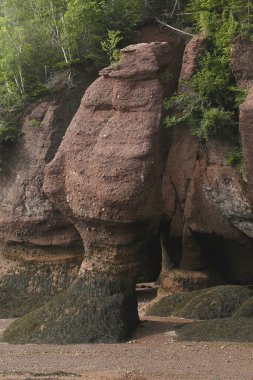 Hopewell Kayalıkları İl Parkı, New Brunswick, Kanada 'da gelgit