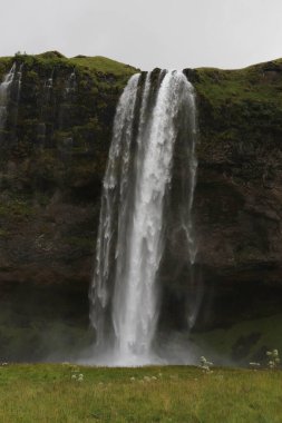 Seljalandsfoss Şelaleleri Güney İzlanda 'da