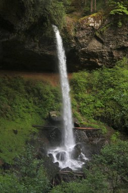 Kuzey Şelalesi Silver Falls Eyalet Parkı, Oregon