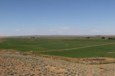 Ürdün Vadisi, Oregon yakınlarında sulanmış tarım arazisi