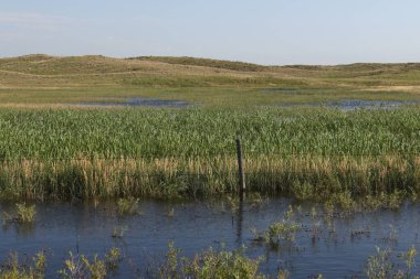 Valentine, Nebraska etrafında tipik sulak arazi