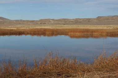 Duferrena Pond, Sheldon Ulusal Vahşi Yaşam Sığınağı, Nevada