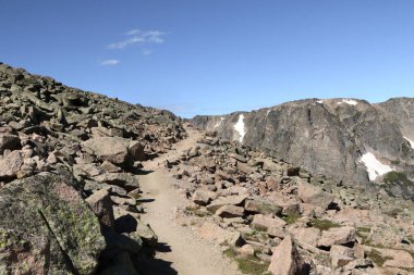 Ağaçların üzerindeki Flattop Dağı Yolu, Rocky Dağı Ulusal Parkı, Colorado