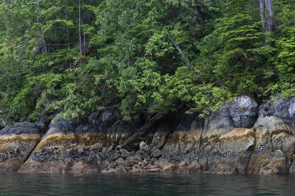 Tofino Körfezi Boyunca Tipik Kıyı Şeridi Vancouver Adası British Columbia — Stok fotoğraf