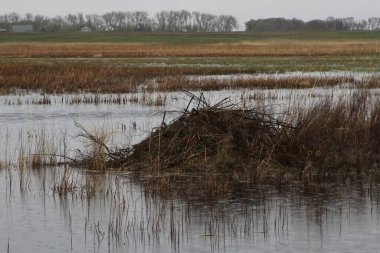 J Clark Salyer Ulusal Vahşi Yaşam Sığınma Evi, Kuzey Dakota