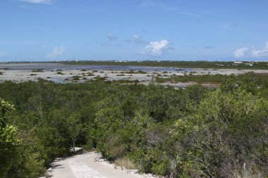 Providenciales, Turks ve Caicos Adaları 'ndaki tipik manzara