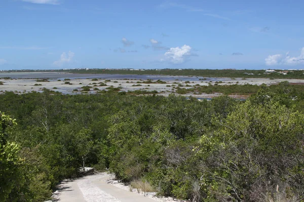Typowy Krajobraz Wyspie Providenciales Turks Caicos — Zdjęcie stockowe