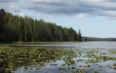 Mayer Gölü, Naikoon İl Parkı, Haida Gwaii, İngiliz Kolombiyası