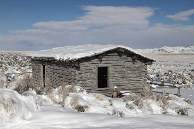 Ruby Valley Ulusal Vahşi Yaşam Sığınma Evi, Nevada.