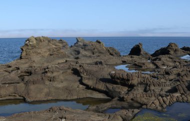 Naikoon Provincial Park, Haida Gwaii, British Columbia 'daki sahil şeridi boyunca ilginç kaya oluşumları.
