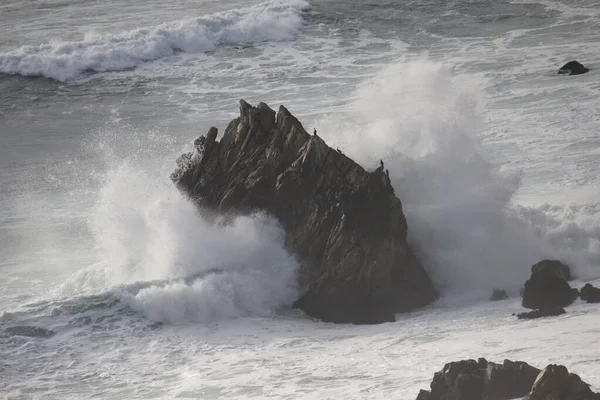 Хвилі Розбиваються Скелі Національному Узбережжі Пойнт Реєс Каліфорнія — стокове фото