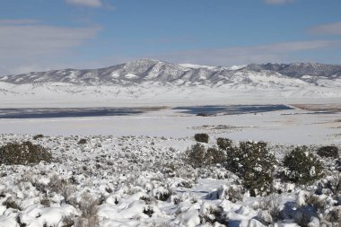 Ruby Valley Ulusal Yaban Hayatı Sığınma Evi, Nevada