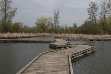 Fort Whyte Canlı, Winnipeg, Winnipeg, Manitoba