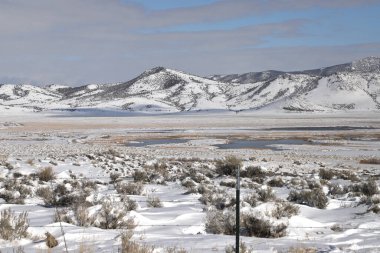 Ruby Valley Ulusal Yaban Hayatı Sığınma Evi, Nevada