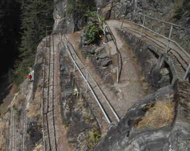 Beacon Rock Patikası 'ndaki dönüşler, Columbia River Vadisi, Washington