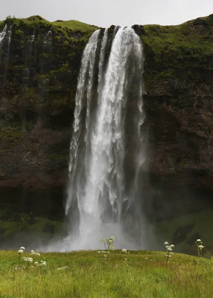 Wodospad Seljalandsfoss Południowym Regionie Islandii — Zdjęcie stockowe