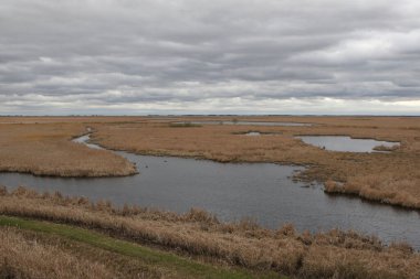 Manitoba 'daki Oak Hamak Bataklığı' ndaki sulak arazi.