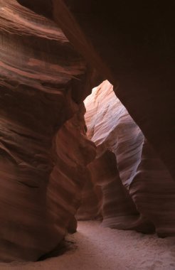 Arizona 'da Page yakınlarında Yukarı Antilop Kanyonu adında bir yuva.