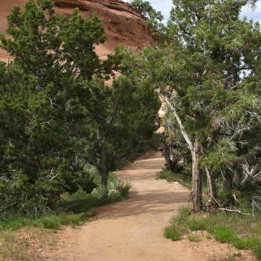  Saddlehorn Ziyaretçi Merkezi yakınlarındaki Alcove Doğa Yolu, Colorado Ulusal Anıtı