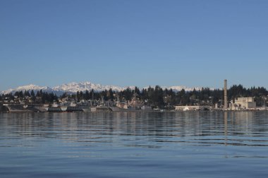 The harbor at Bremerton and the Olympic Mountains, Washington clipart