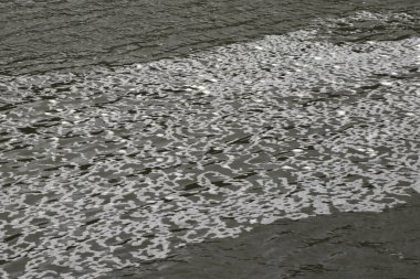 Closeup of shallow water as the tide comes in at Nisqually National Wildlife Refuge, Washington clipart