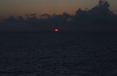 fondo rojo cuero natural exótica