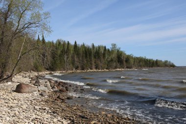 Tipik kıyı şeridi Hecla-Grindstone İl Parkı, Winnipeg Gölü, Manitoba