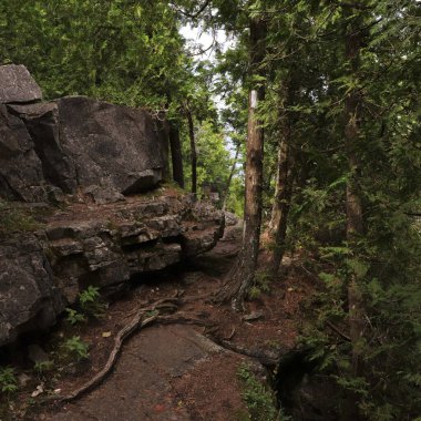 Bruce Trail, Bruce Peninsula National Park, Tobermory, Ontario clipart