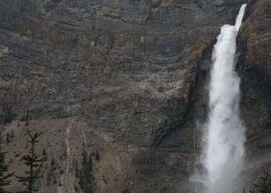 Takkakaw Falls, Yoho Ulusal Parkı, British Columbia, Kanada (arka plan olarak kullanılmak üzere kasıtlı olarak şehir dışı)