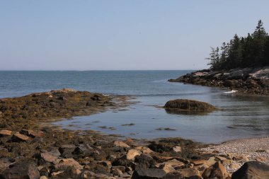 Petit Manan Ulusal Yaban Hayatı Sığınağı, Maine 'de Plaj