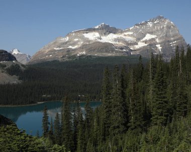 Odaray Mountain, Lake O'Hara Yoho National Park, British Columbia, Canada clipart