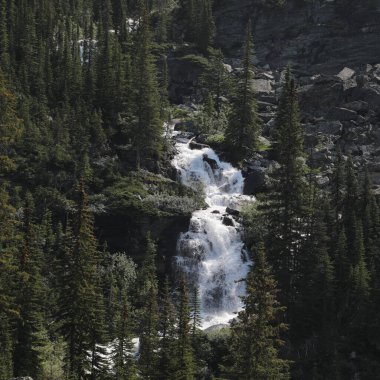 O 'Hara Gölü üzerindeki şelale Yoho Ulusal Parkı, British Columbia, Kanada