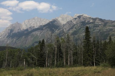 Bow Valley Parkway, Banff Ulusal Parkı, Alberta, Kanada