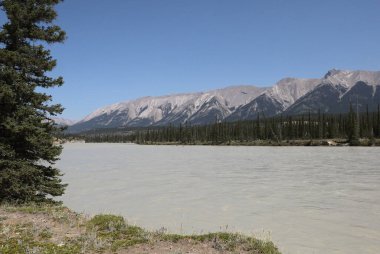 Saskatchewan Nehri 'nin doğusunda Kuzey Saskatchewan Nehri Alberta, Kanada