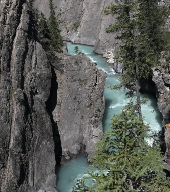 Siffleur Nehri, Siffleur Yaban Hayatı Bölgesi, Alberta, Kanada