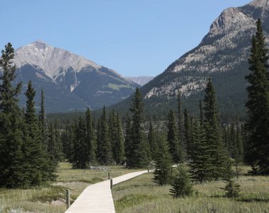 Siffleur Falls Yolu, Alberta, Kanada