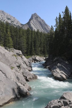 Siffleur Nehri ve Mt. Ernest Ross, Alberta, Kanada