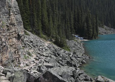 O 'Hara Gölü, Yoho Ulusal Parkı, British Columbia, Kanada çevresindeki kıyı şeridi.