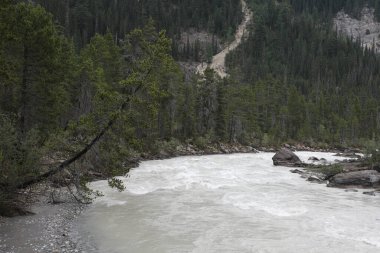 Yoho Nehri Takakkaw Şelalesi, Yoho Ulusal Parkı, Alberta, Kanada