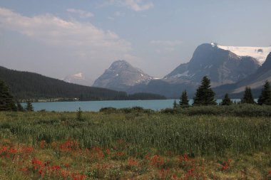 Bow Lake ve Bow Glacier, Icefields Parkway, Banff Ulusal Parkı, Alberta, Kanada