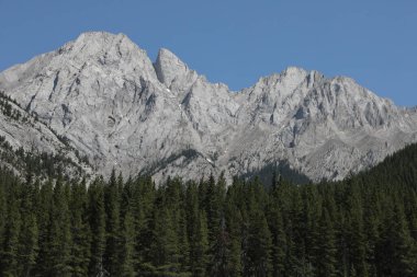 Peter Lougheed İl Parkı, Alberta, Kanada