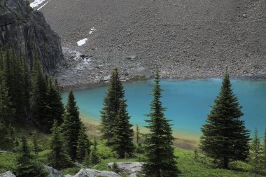 Lefroy Gölü, Yoho Ulusal Parkı, British Columbia, Kanada