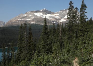 Odaray Mountain and Lake O'Hara Yoho National Park, British Columbia, Canada clipart