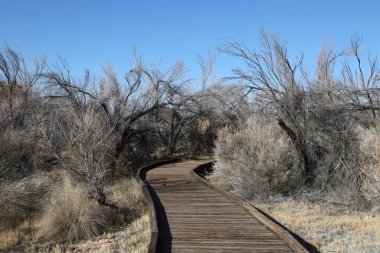  Kristal Sahil Yolu, Ash Meadows Ulusal Vahşi Yaşam Sığınağı, Nevada