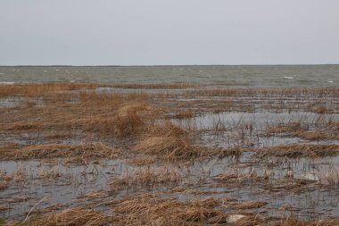 Kuzey Shoal Gölü 'nün güney ucu, Manitoba, Kanada