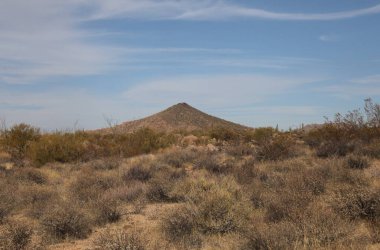 Pima Dynamite Trails, Cave Creek, Arizona 'daki tipik manzara.