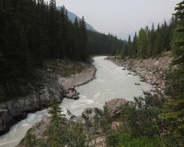 Kuzey Saskatchewan Nehri Varış Noktası, Icefields Parkway, Alberta, Kanada