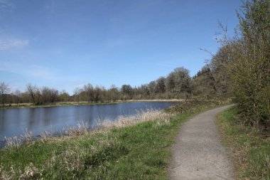 Ridgefield Ulusal Vahşi Yaşam Sığınağı 'ndaki Oaks to Wetlands Patikaları, Carty Birimi, Washington