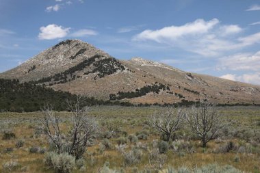Tipik Kayalar Şehri Doğa Rezervi, Idaho manzarası