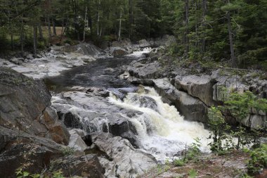 Byron, Maine yakınlarındaki Swift Nehri.